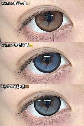 <半年抛大直径>Liliyacon-傲娇布偶/起司小猫/笨蛋比熊-14.5mm【半年抛 0-1000度 含525/575】