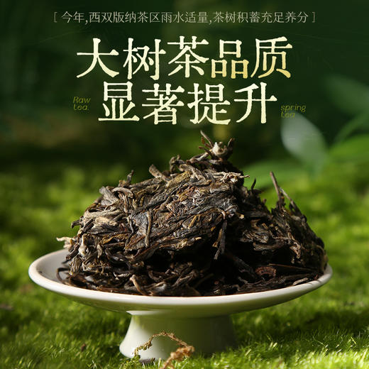 陈升号 2025年万物兴357g（生茶） 商品图1