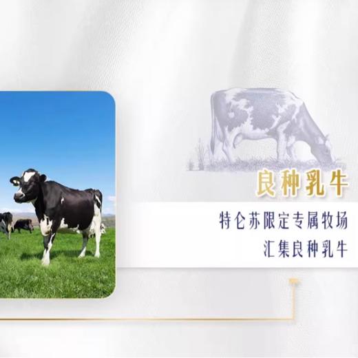 蒙牛特仑苏纯牛奶250ml*12盒/箱 商品图3