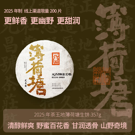 【茶王地系列】元昌号2025年薄荷塘古树纯料357克生饼 商品图0