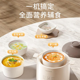 卡蛙宝宝辅食电炖煲KW-CD02