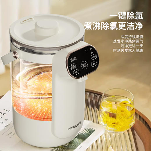 HYUNDAI韩国现代电热水壶（电开水瓶）RC-K25A 商品图2