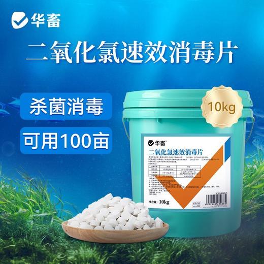 华畜二氧化氯速效消毒片水产养殖鱼塘净水鱼药杀菌消毒剂鱼虾池塘 商品图2