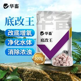华畜改底王过硫酸氢钾水产养殖鱼塘虾蟹底改片改底颗粒净水王增氧