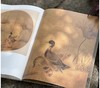 《宋元花鸟小品抉微》第一辑+第二辑，16开平装，段奇编，浙江人民美术出版社2025年一版一印，单册100页，每册单价98元，售价78元，两册合售149元。 商品缩略图12