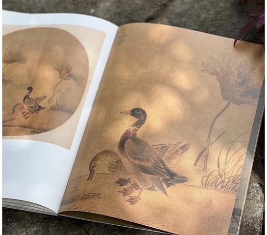 《宋元花鸟小品抉微》第一辑+第二辑，16开平装，段奇编，浙江人民美术出版社2025年一版一印，单册100页，每册单价98元，售价78元，两册合售149元。 商品图12