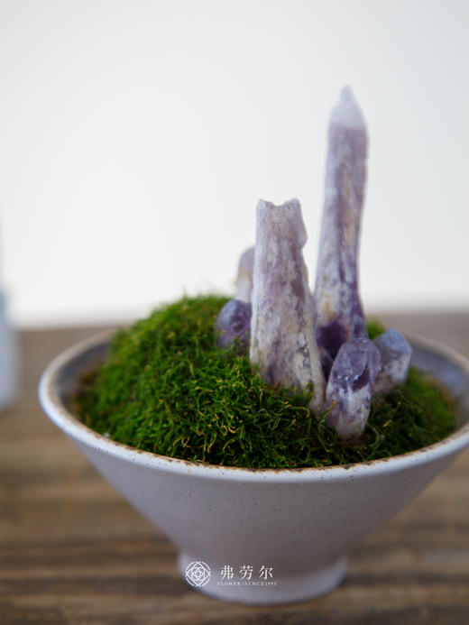 水晶苔藓 商品图2