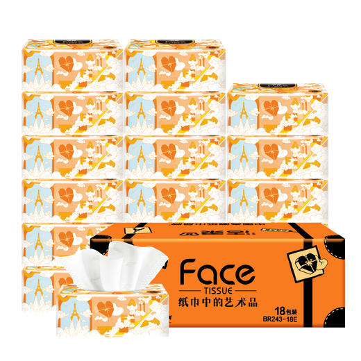 BR243-18E洁柔牌纸面巾(艺术巴黎软抽)90抽4层(18包装) 商品图0