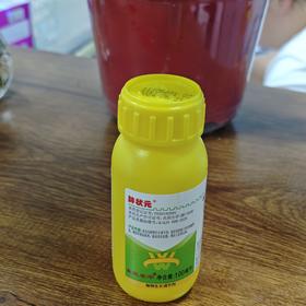 东旺农华胖状元3.6%苄氨基嘌呤赤霉酸乳油