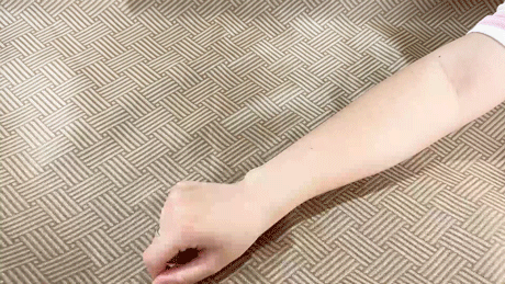  能“吓跑”蚊子的艾草冰丝凉席，躺一次就爱上！ 