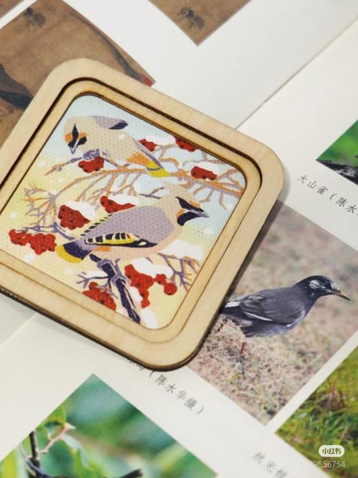 特装！！《形理两全：宋画中的鸟类》，签名本，陈水华 著，小16开，精装，308页，浙江古籍出版社2024年2月一版。定价138，特装签名版138元。 商品图4