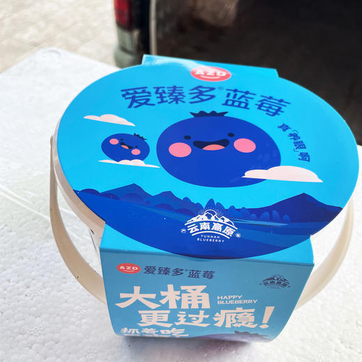 花香蓝莓22+（500g） 商品图0