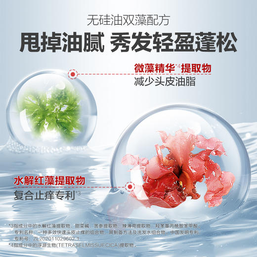 b2v红藻舒缓控油专研洗发水600ml+b2v红藻精华专研沐浴露580ml套装送礼盒旅行装 商品图3