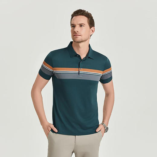 夏季男士polo衫插色条纹短袖多色休闲百搭高品质上衣  HLS-W2822006 商品图2