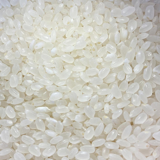 褚峰1983大珍珠米（双面）5kg 商品图4