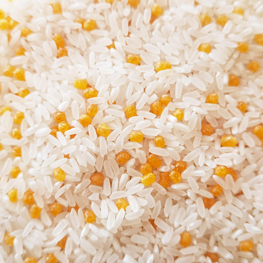 中褚抗性益米1kg 商品图5