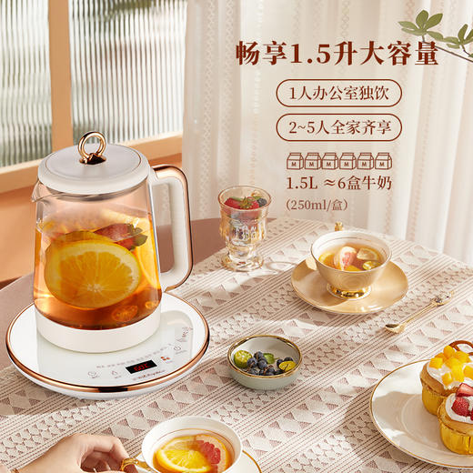 荣事达钛·养 生 壶YSH1592（NFC2.0） 商品图3