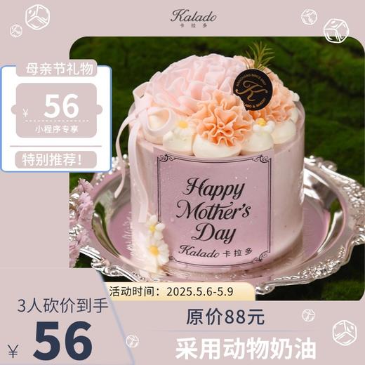 【砍价56元得】4#芳馨锦簇 商品图0