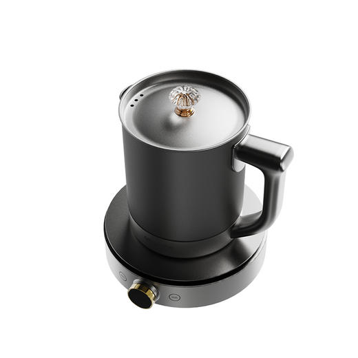 亚摩斯钛煮茶壶智能显示屏语音播报电热水壶YSH08-15T 商品图0