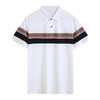 夏季男士polo衫插色条纹短袖多色休闲百搭高品质上衣  HLS-W2822006 商品缩略图3