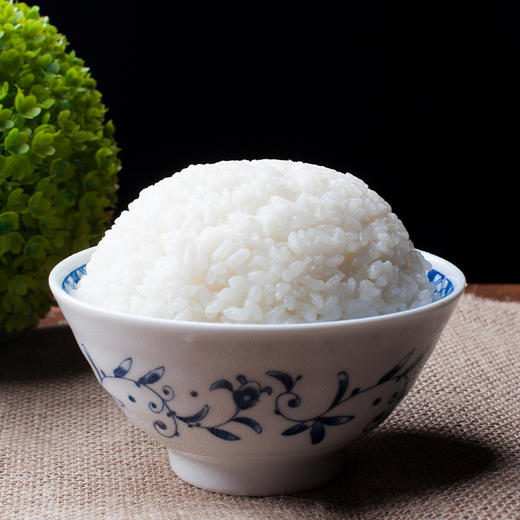 褚峰1983大珍珠米（双面）5kg 商品图3