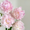 芍药丨雪纺冻糕 商品缩略图0