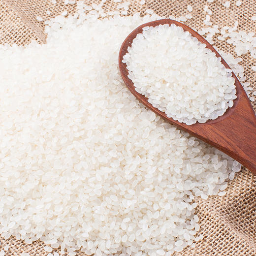 褚峰1983大珍珠米（双面）5kg 商品图2