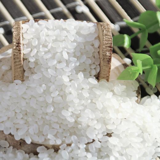 食盛源寒地香米（充氮）1.5kg 商品图4