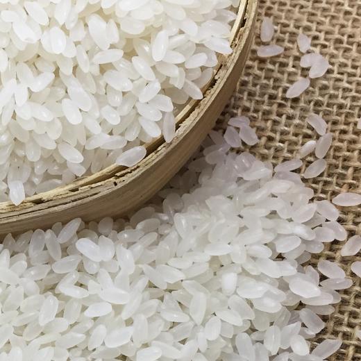 中褚长粒香（XS-02）2.5kg 商品图5