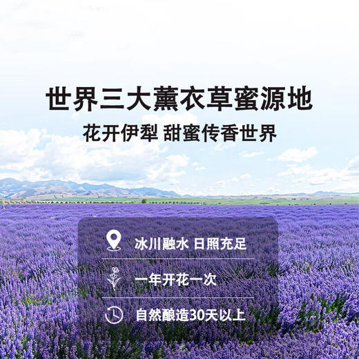 新疆黑蜂薰衣草蜜，5罐装，蜜源来自天山脚下，新疆黑蜂采集薰衣草酿造而成，自然成熟蜜，波美度不低于42度，高活性酶，配料表只有蜂蜜，口感清甜，香味舒爽，适合全家人食用M 商品图3