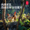 云南土鸡 商品缩略图2