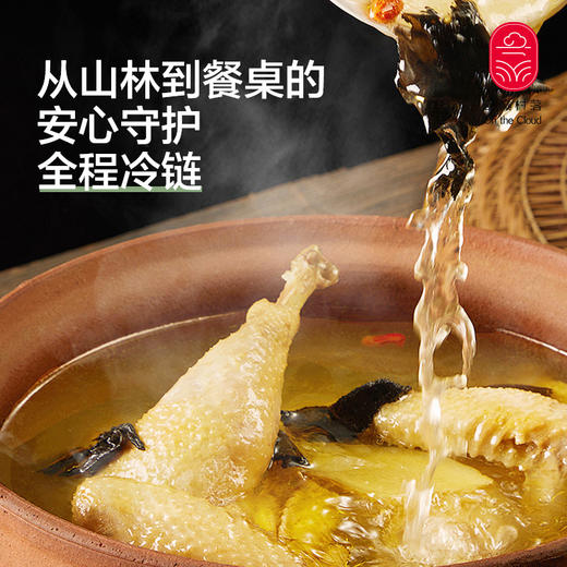 云南土鸡 商品图4