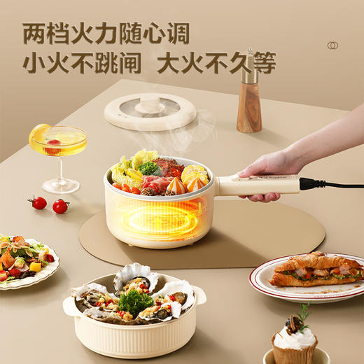 荣事达钛·电煮锅DZG20E6(Ti) 商品图1