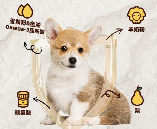 赤道觅食全价全期狗粮1.5kg 商品图1