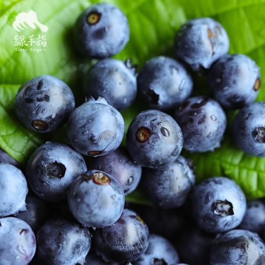 生态蓝莓（广州） | 合作生产*Eco-friendly Blueberries |  Partner Production 商品图4