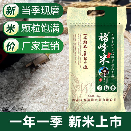 褚峰长粒香（编）5kg 商品图1