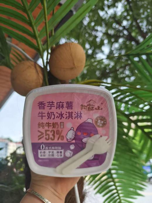 阿苏山香芋麻薯牛奶冰淇淋 商品图0