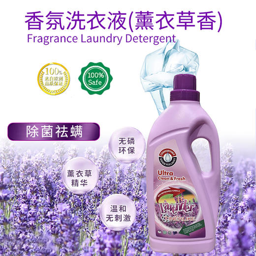 西班牙进口天伦爱薰衣草精华丨芦荟清新洗衣液3L*2【除菌祛螨系列】 商品图4
