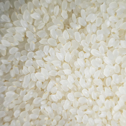 黑马博士胚芽米（六面）2.5kg 商品图3