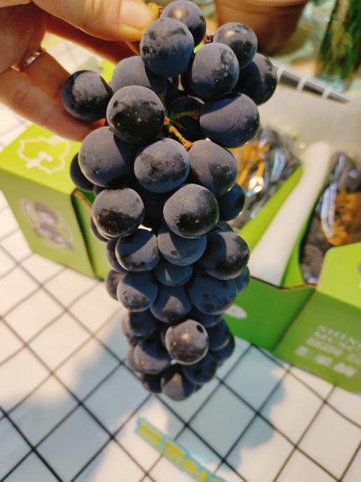 黑玫瑰葡萄一箱 商品图3