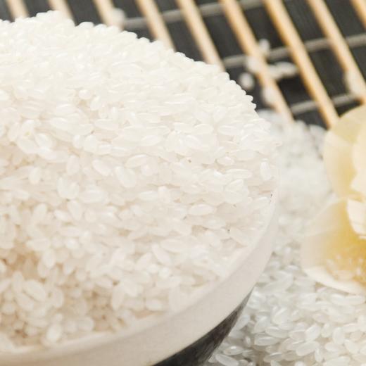 中褚长粒香米5kg 商品图2