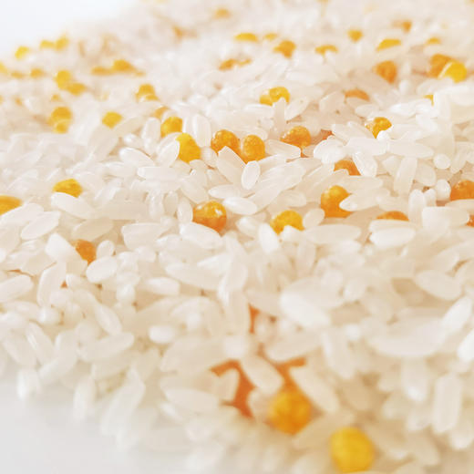 中褚抗性益米1kg 商品图6