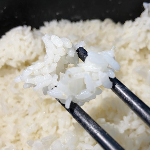 黑马博士胚芽米（六面）2.5kg 商品图4