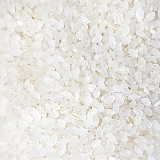 黑马博士胚芽米（六面）2.5kg 商品图2