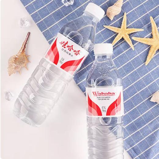596ml 娃哈哈饮用纯净水 饮用水 纯净水 瓶装饮用水 商品图1