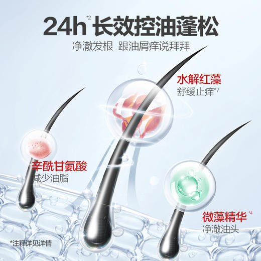 b2v红藻舒缓控油专研洗发水600ml+b2v红藻精华专研沐浴露580ml套装送礼盒旅行装 商品图2