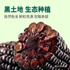 食盛源富硒黑糯玉米 2000g 商品缩略图1