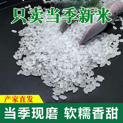 褚峰长粒香（编）5kg 商品图2