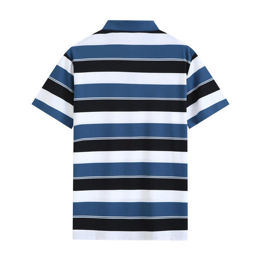 夏季男士短袖T恤高档条纹锦氨翻领polo衫  HLS-W2822012 商品图4