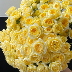 多头柠檬汁丨A级花材 10支